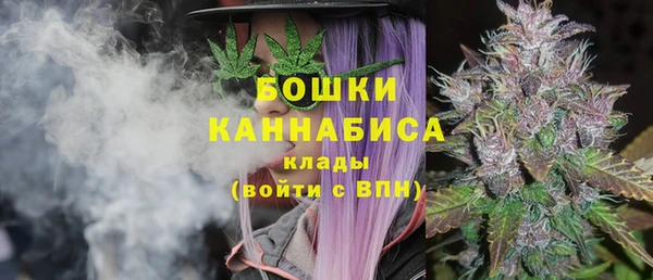 МДПВ Горно-Алтайск